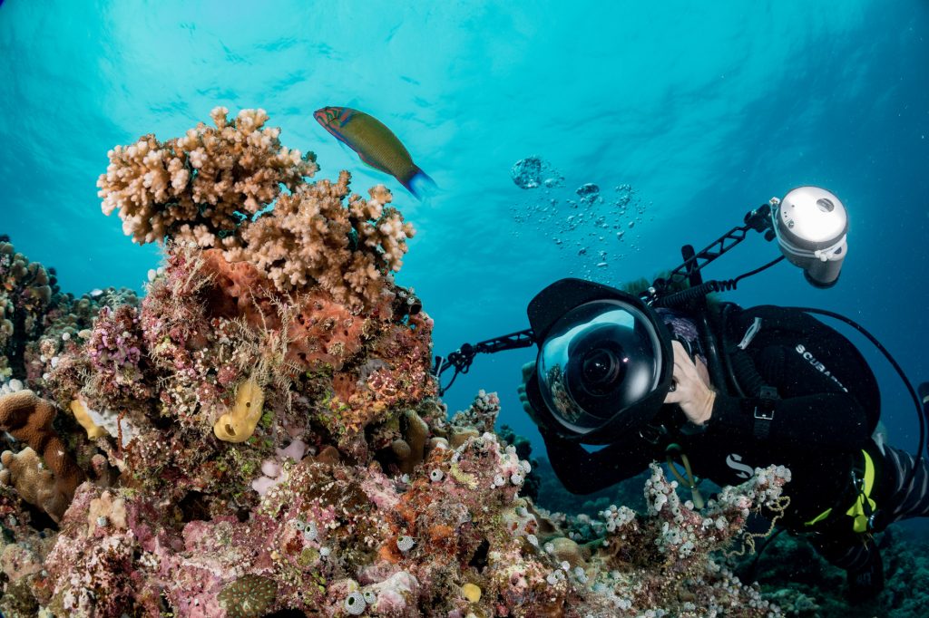 79b3bee8 8a5d 4490 89ab 9db3df32d0d2 79b3bee8 8a5d 4490 89ab 9db3df32d0d2