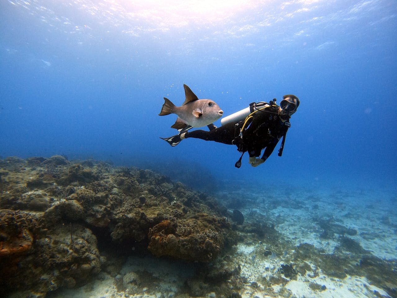 services-03 A scuba diver swims with a fish near a vibrant coral reef in Cozumel, Mexico's clear waters.