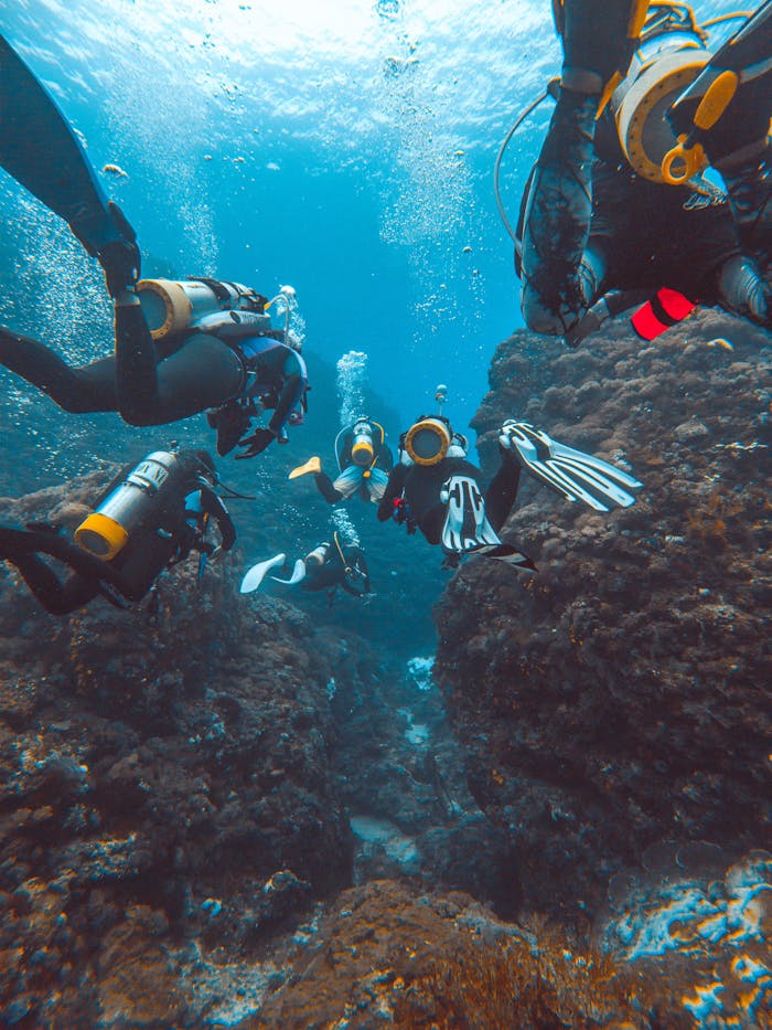 pexels photo 7008962 A group of scuba divers explore a vibrant coral reef underwater, surrounded by clear blue water.